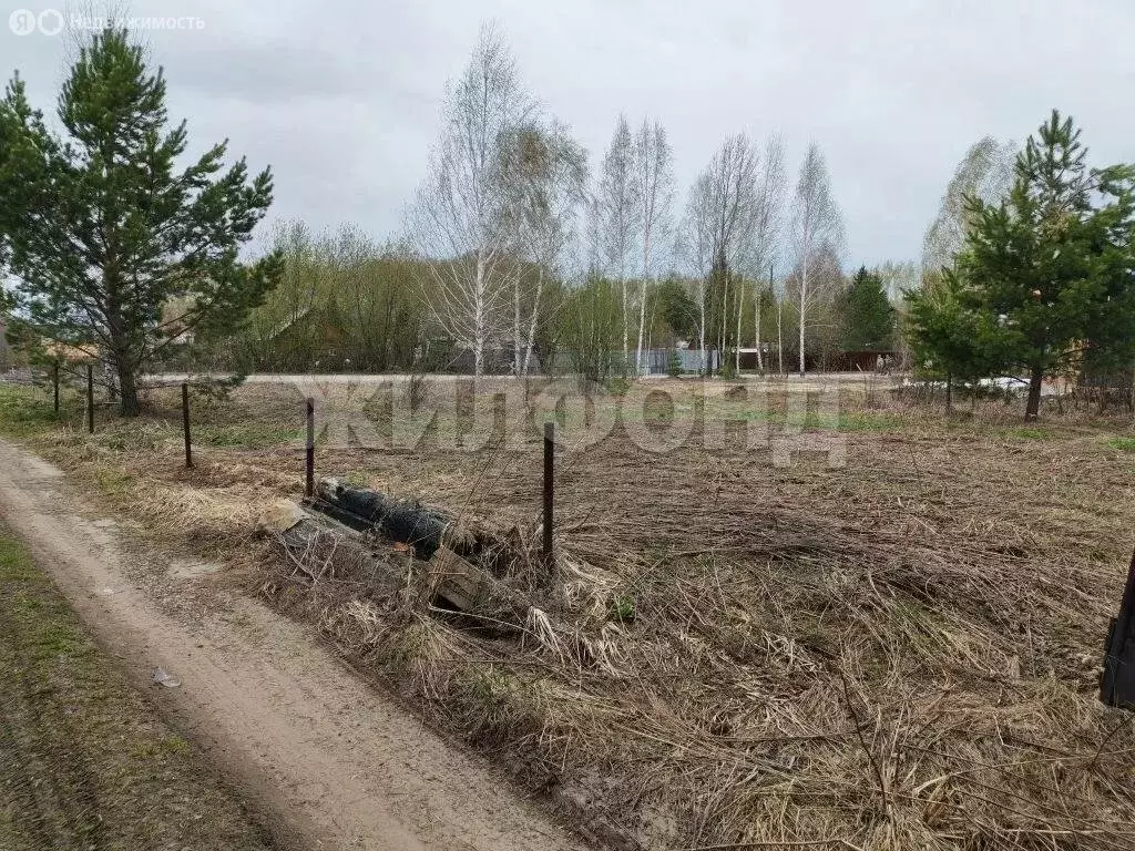 Участок в Новолуговской сельсовет, НСТ Мелиоратор, Лесная улица (12 м) - Фото 1