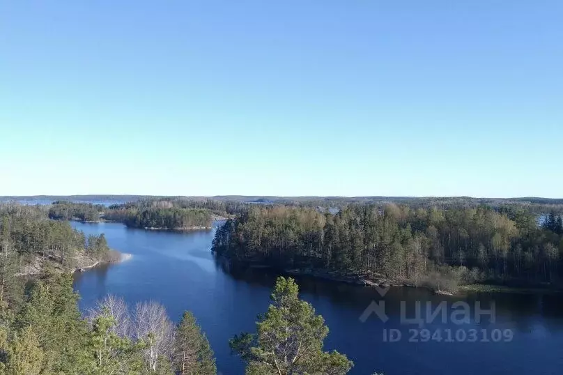 Дом в Карелия, Лахденпохский район, Мийнальское с/пос, пос. Харвиа  ... - Фото 2
