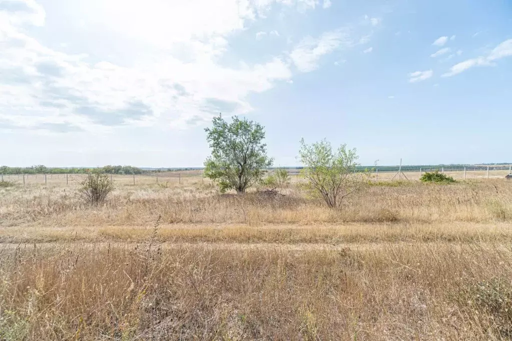 Участок в Крым, Бахчисарайский район, с. Песчаное  (6.0 сот.) - Фото 1
