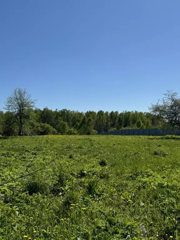 Участок в Калужская область, Мещовск городское поселение, д. Шалово ... - Фото 0