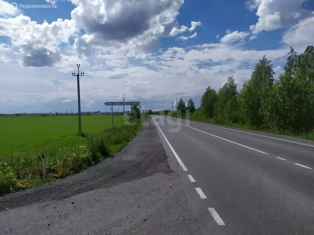 Участок в Тюменский район, деревня Криводанова (7 м) - Фото 1