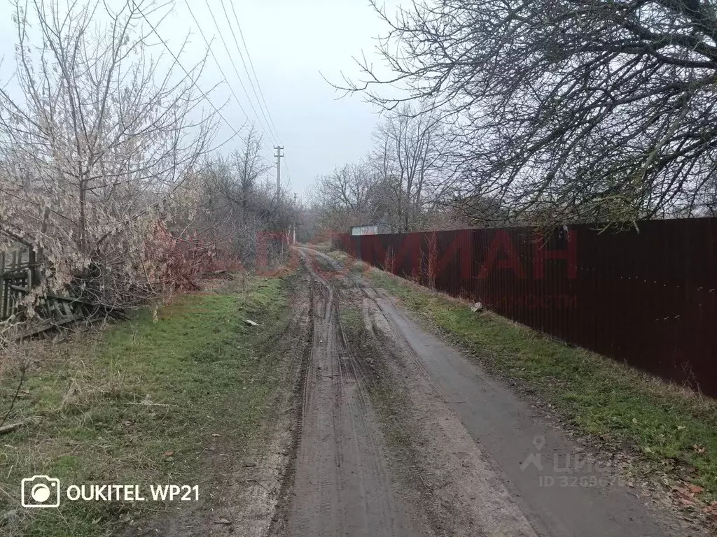 Участок в Ростовская область, Октябрьский район, Бессергеневское ... - Фото 1