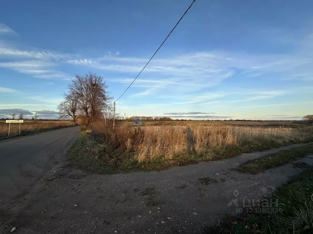 Участок в Калининградская область, Гурьевский муниципальный округ, ... - Фото 2