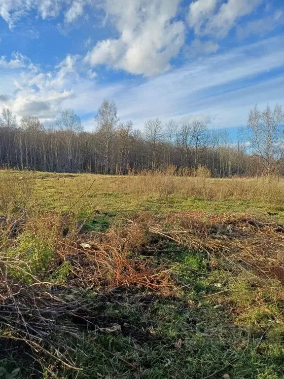 Участок в Кемеровская область, Кемеровский муниципальный округ, с. ... - Фото 0