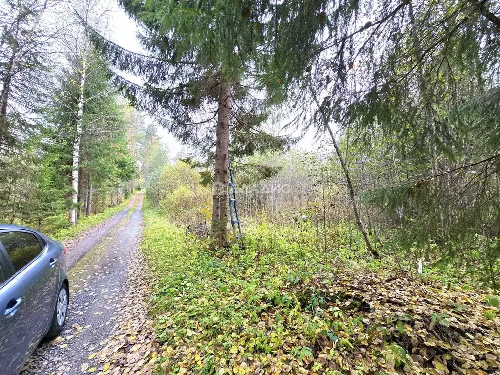 Участок в Карелия, Сортавальский муниципальный округ, пос. Рускеала ... - Фото 2