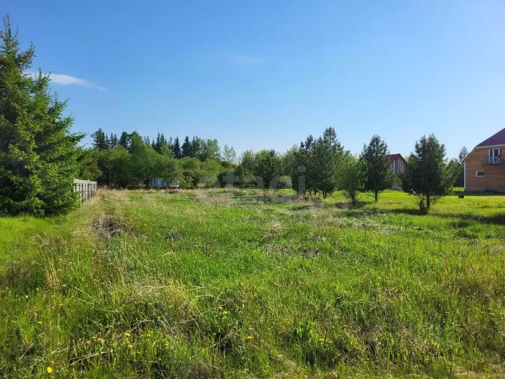 Участок в Красноярский край, Емельяновский муниципальный округ, с. ... - Фото 1