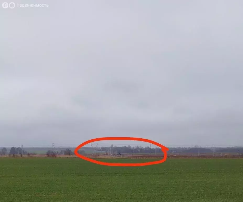 Участок в Калининградская область, Зеленоградский муниципальный округ, ... - Фото 1