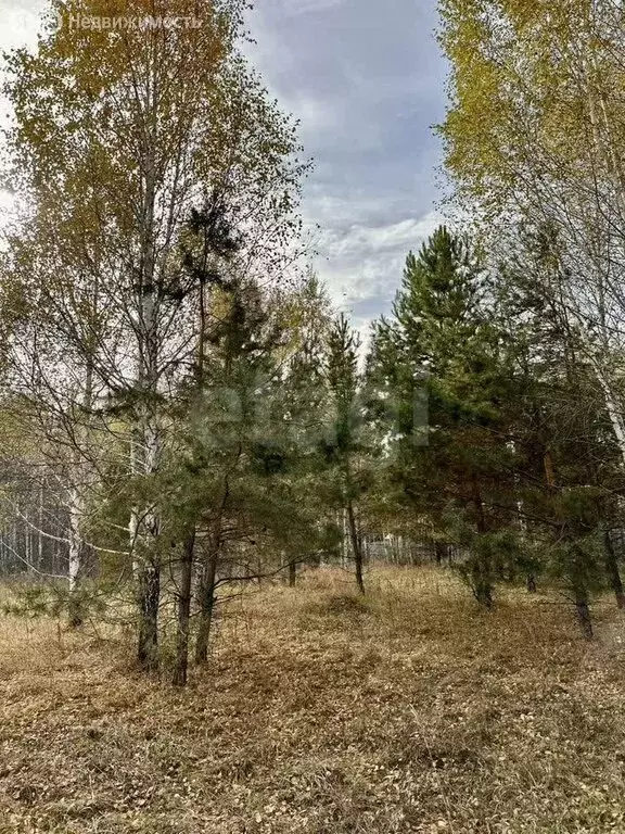 Участок в село Введенское, Восточная улица (10 м) - Фото 2