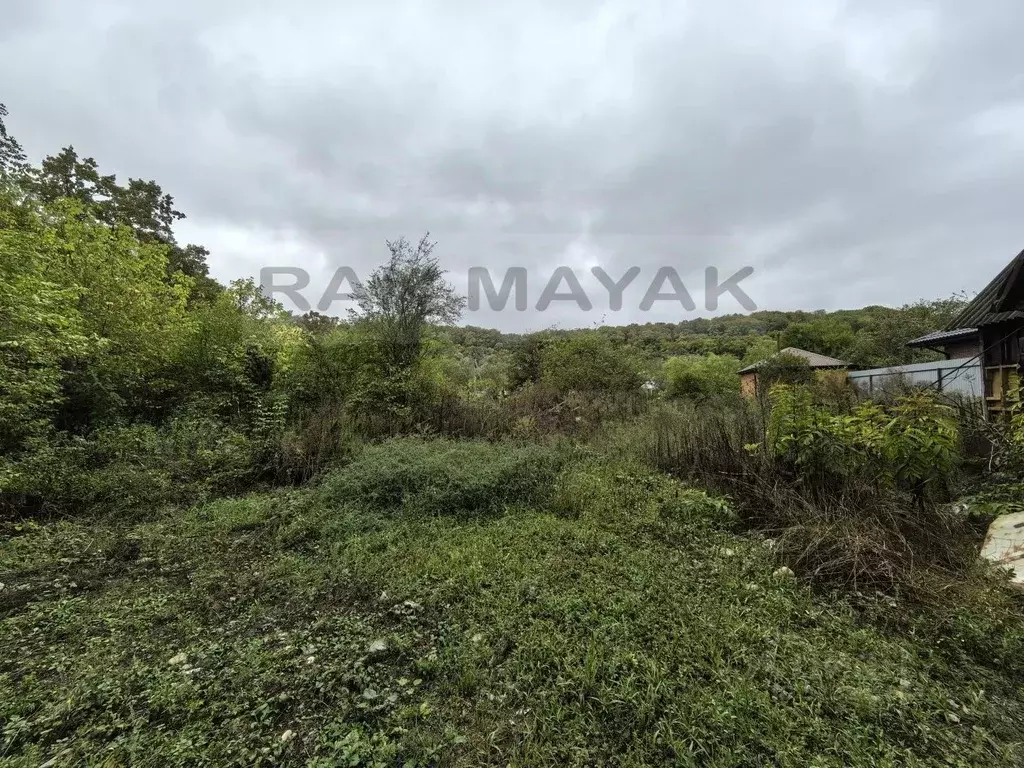 Участок в Адыгея, Майкопский район, Краснооктябрьское с/пос, Лесная ... - Фото 2