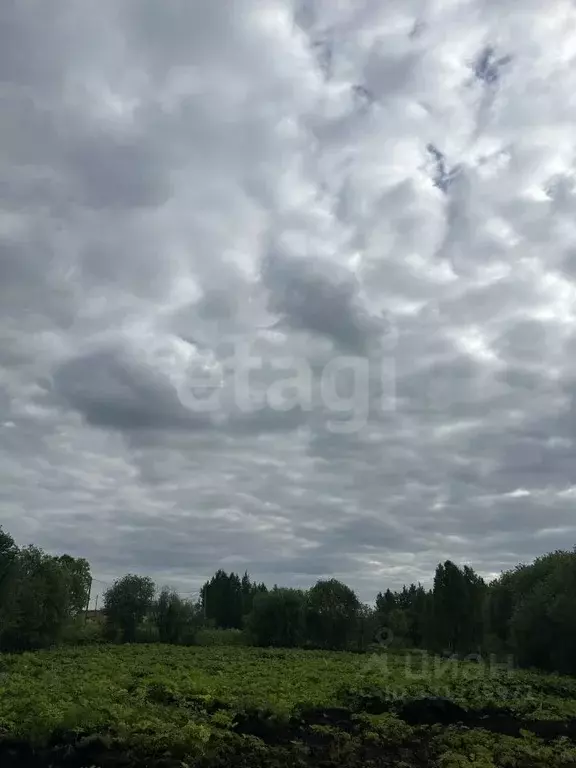 Участок в Коми, Сыктывкар пос. Холмы-3,  (8.42 сот.) - Фото 2