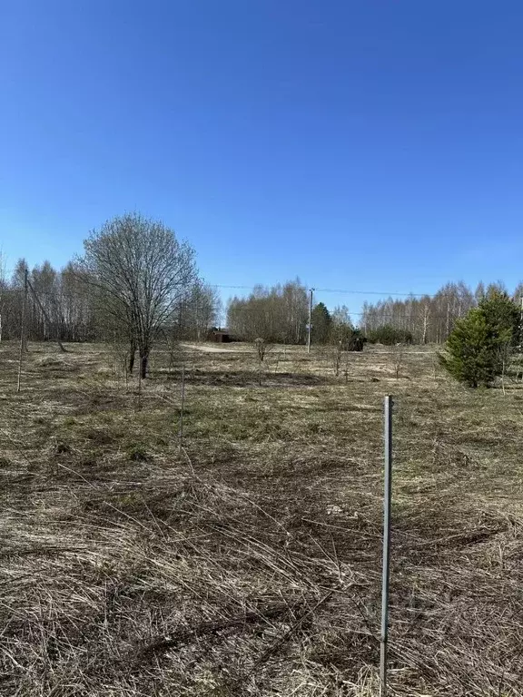 Участок в Нижегородская область, Богородский муниципальный округ, д. ... - Фото 2