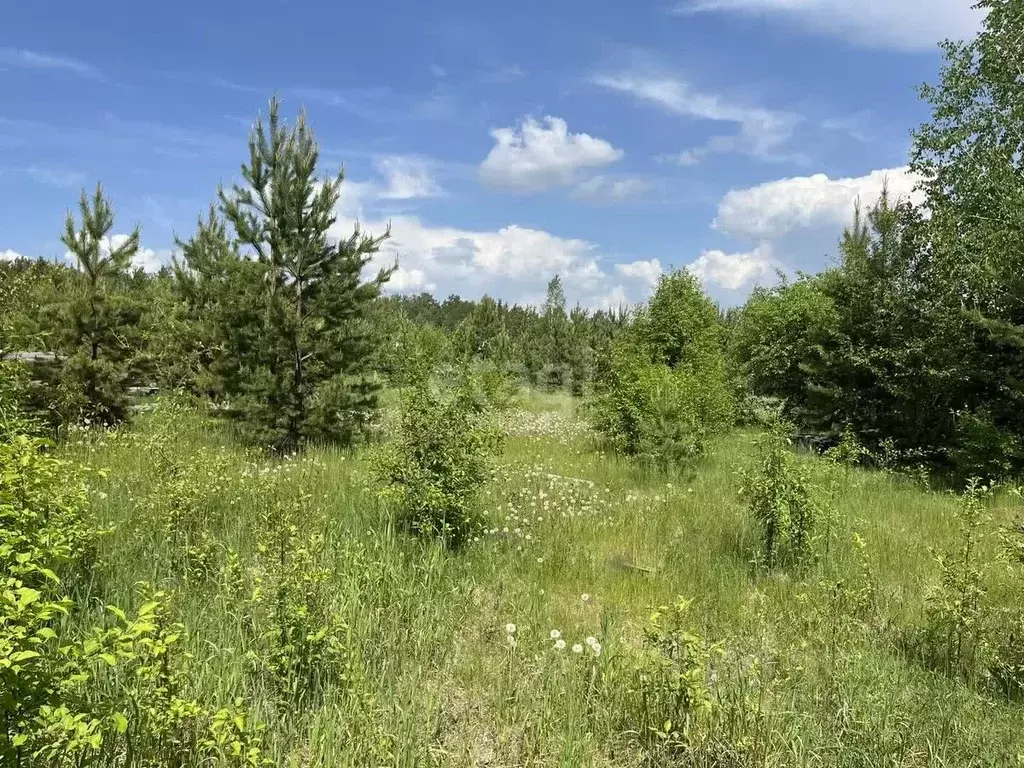 Участок в Свердловская область, Белоярский городской округ, с. ... - Фото 0