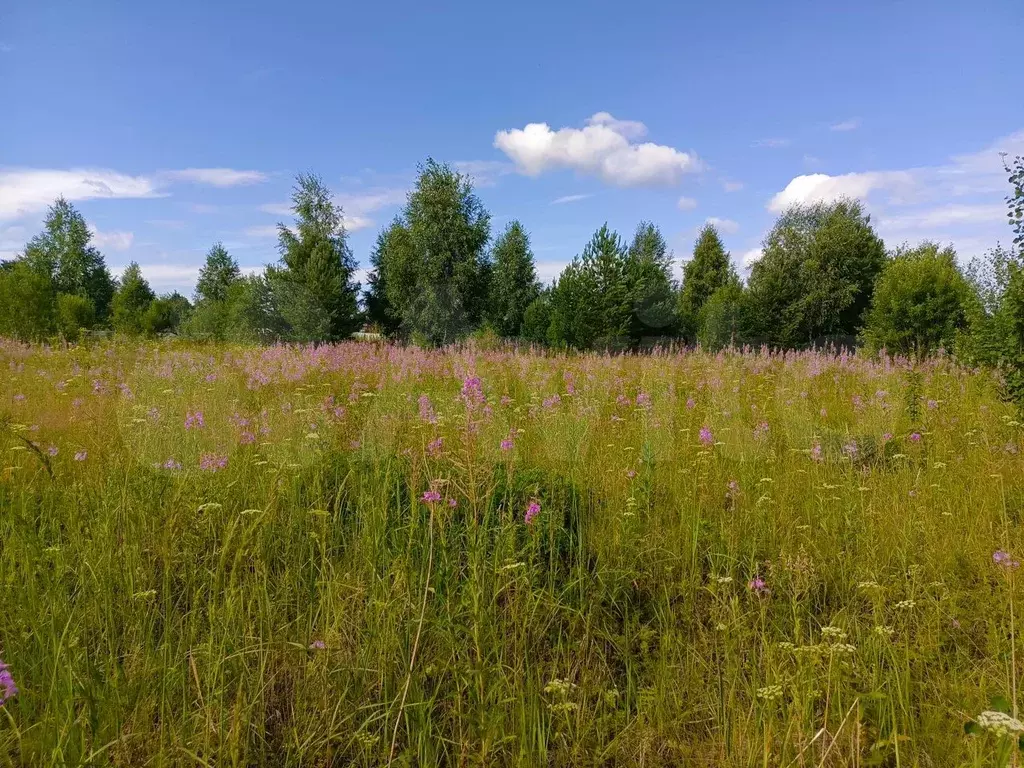 Купить Участок Слобода Ленинский Район