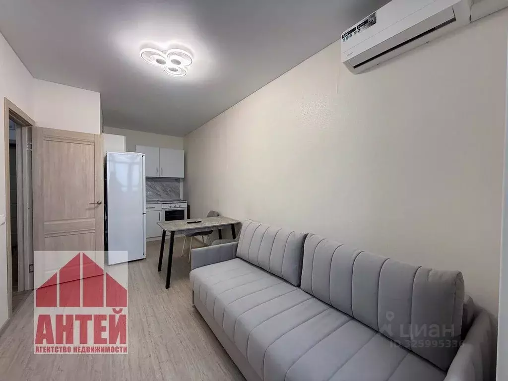 1-к кв. Нижегородская область, Нижний Новгород д. Анкудиновка, ул. ... - Фото 2