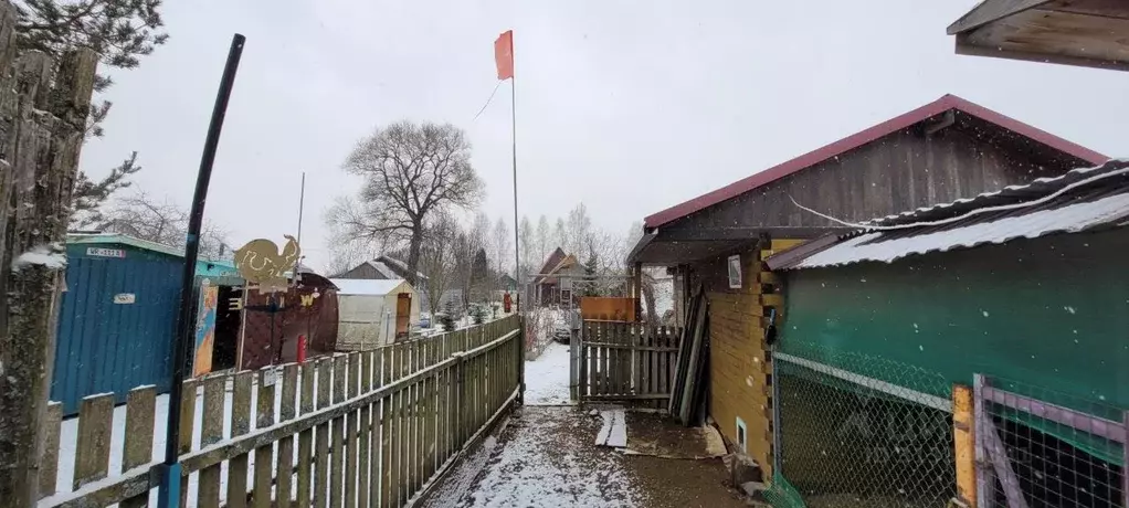 Дом в Тверская область, Старицкий муниципальный округ, д. Степурино ... - Фото 1