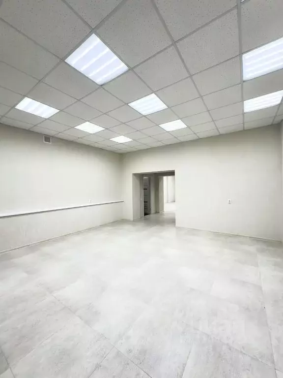 Помещение свободного назначения в Тамбовская область, Тамбов ул. ... - Фото 1