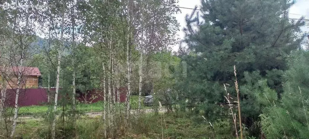 Участок в Майминский район, Соузгинское сельское поселение, посёлок ... - Фото 2