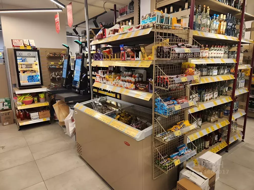 Торговая площадь в Московская область, Люберцы городской округ, ... - Фото 1