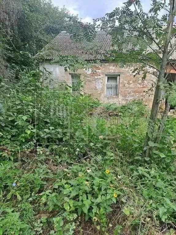 Участок в Воронежская область, Верхнехавский район, Спасское с/пос, ... - Фото 2