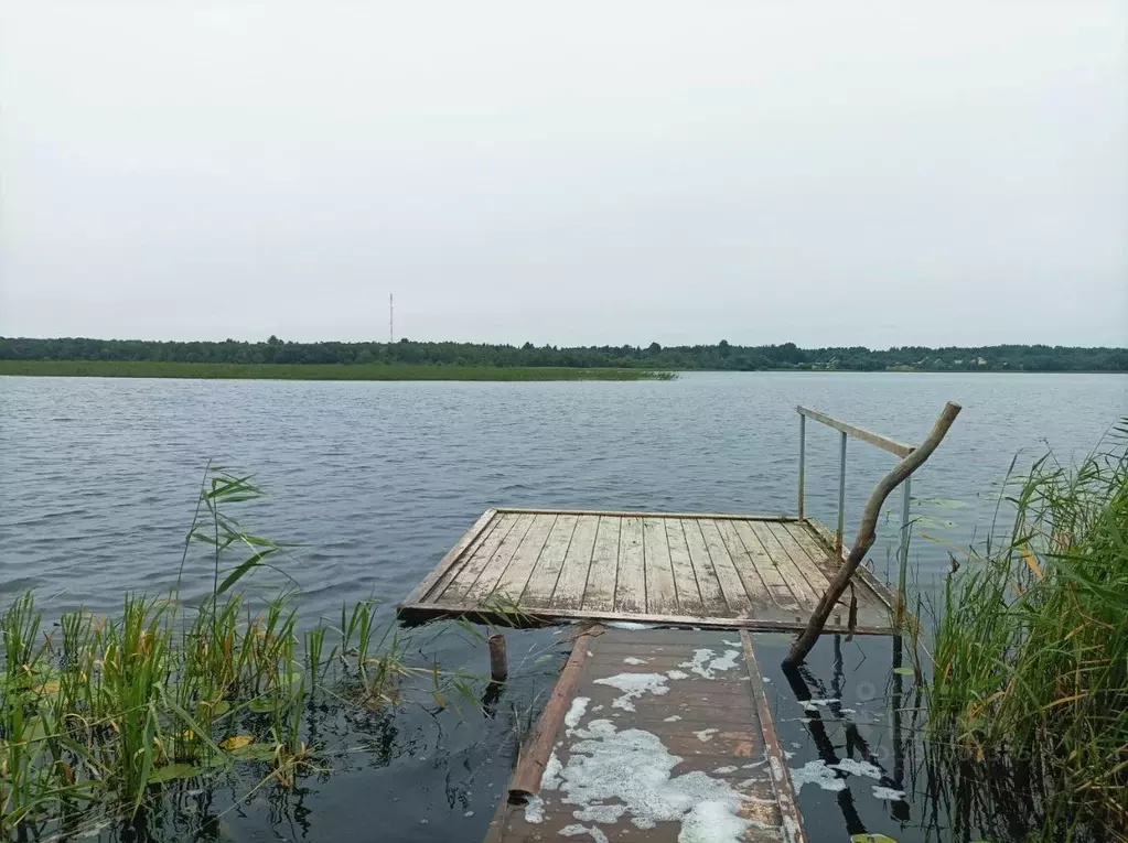 Дом в Вологодская область, Кирилловский муниципальный округ, с. ... - Фото 1