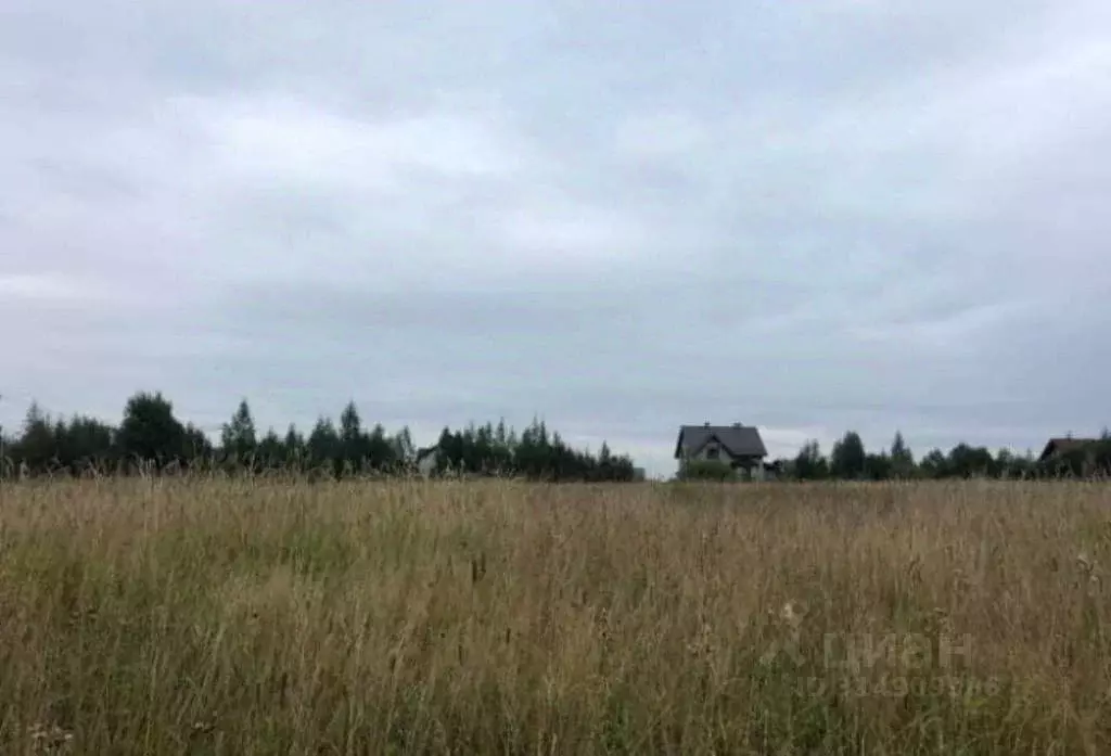 Участок в Ленинградская область, Всеволожский район, Лесколовское ... - Фото 0