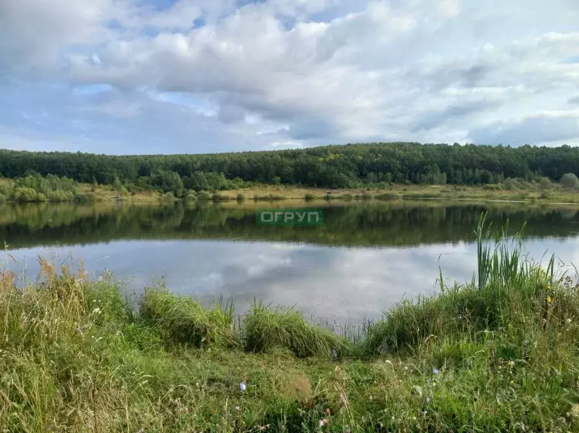 Участок в Пензенская область, Городищенский район, д. Кологреевка  ... - Фото 1