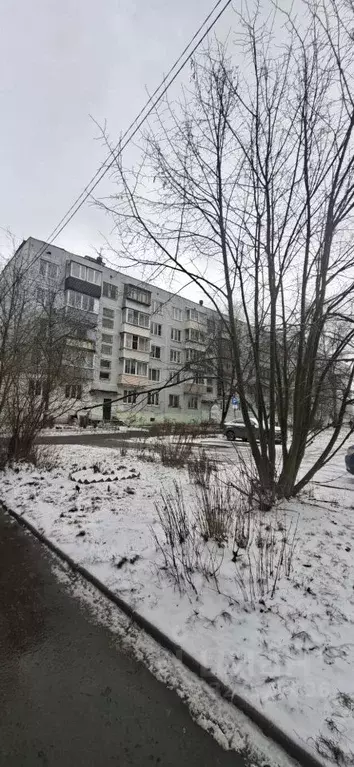 1-к кв. Московская область, Щелково ул. Беляева, 43 (31.0 м) - Фото 1