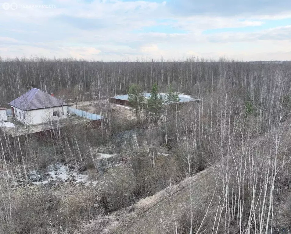 Участок в Богородский городской округ, СНТ Ясень, 117 (6 м) - Фото 1