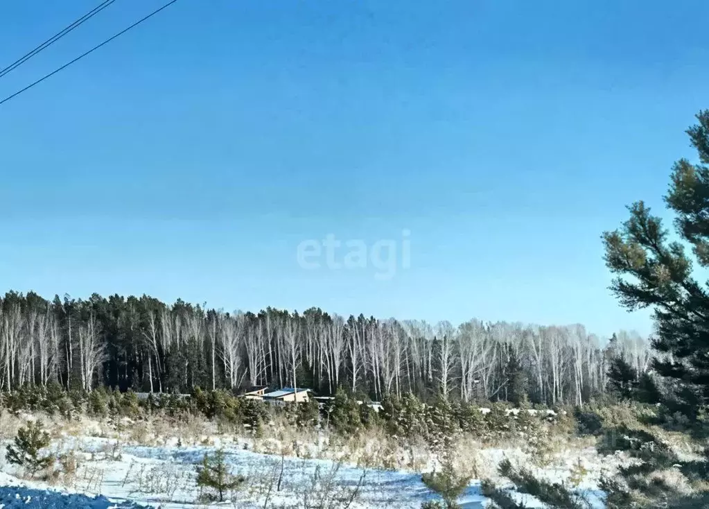 Участок в Свердловская область, Белоярский муниципальный округ, д. ... - Фото 0