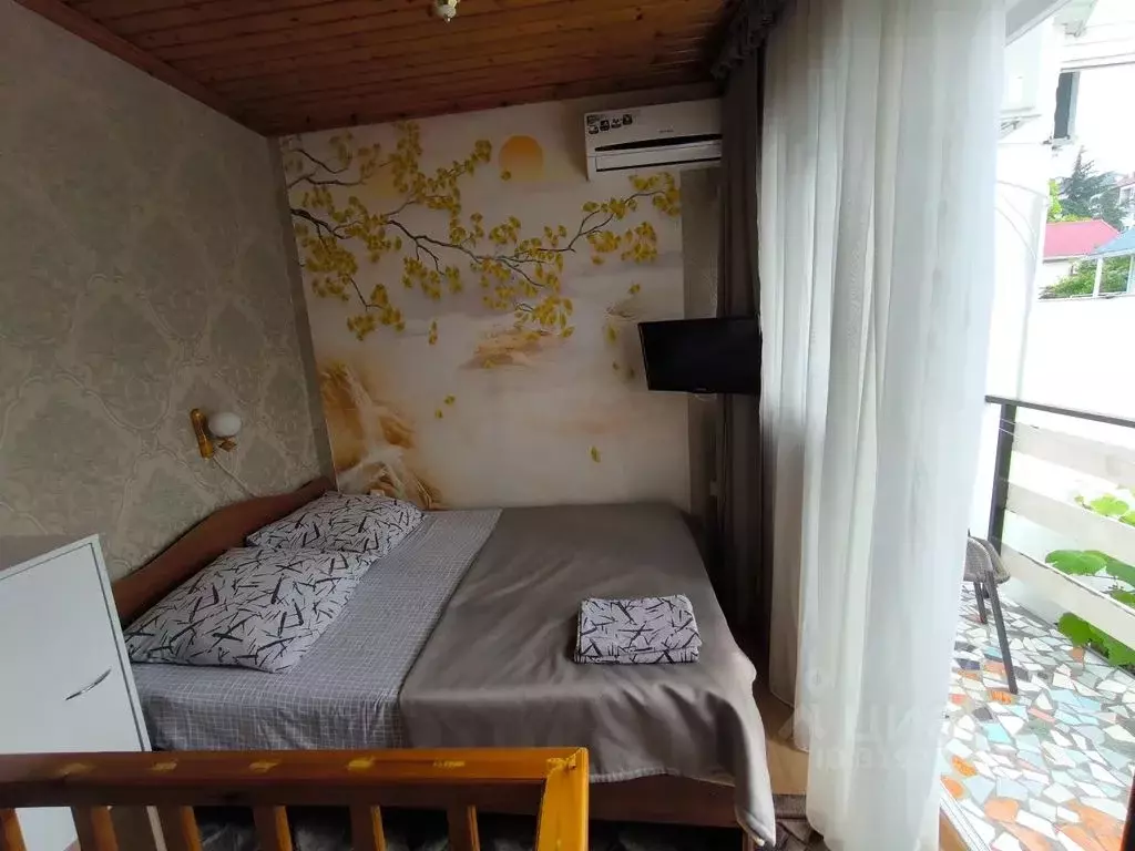 Комната Краснодарский край, Сочи Адлер жилрайон, ул. Чкалова, 33Б - Фото 1