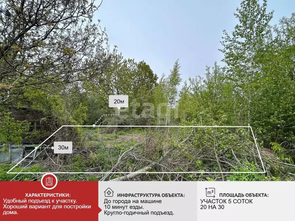 Участок в Брянская область, Брянский район, Мичуринское с/пос, ... - Фото 1