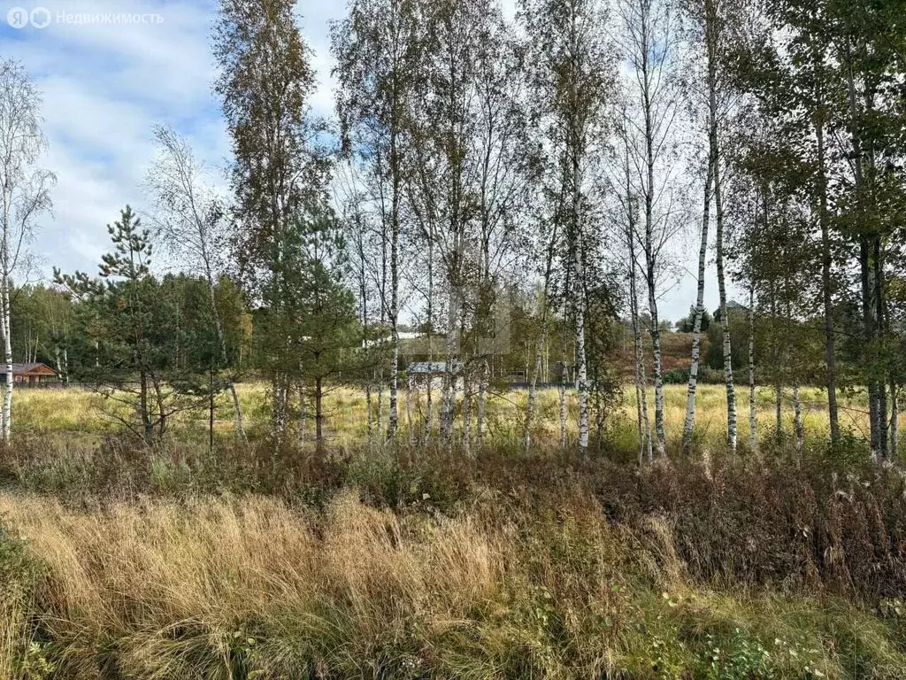 Участок в Куйвозовское сельское поселение, КП Грузино сити (7 м) - Фото 2