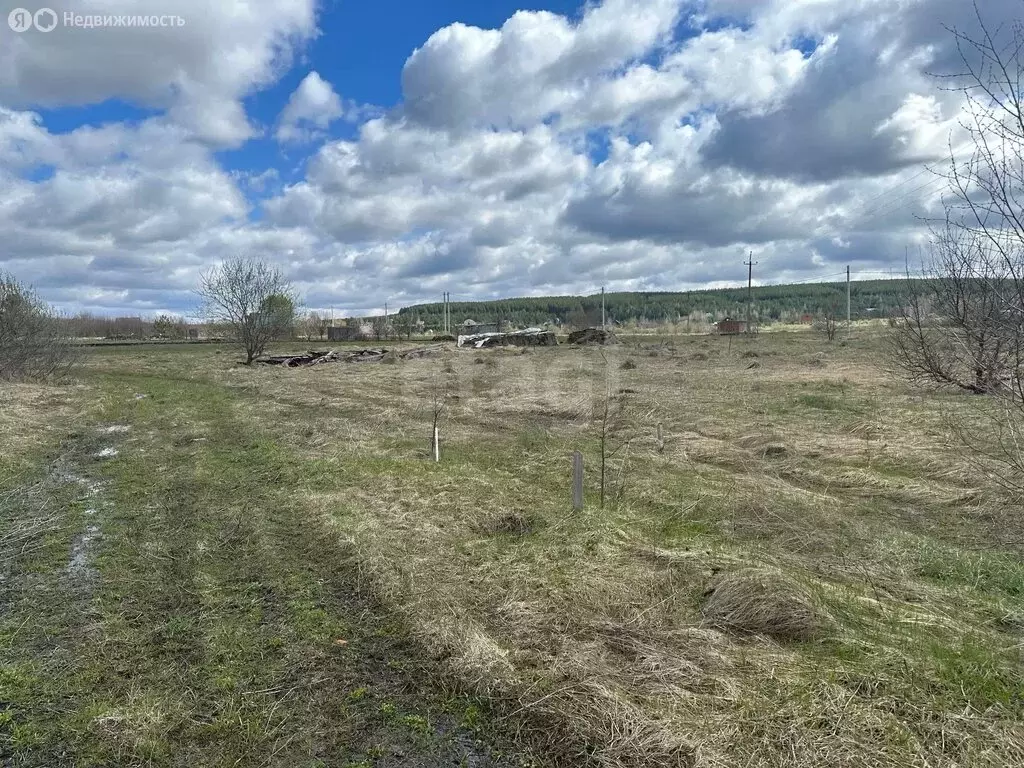 Участок в Республика Мордовия, село Кочкурово (13 м) - Фото 2
