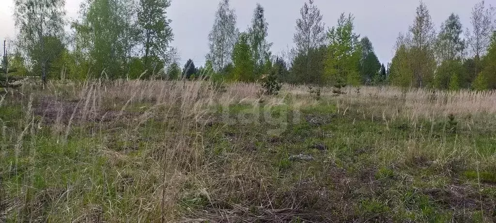 Участок в Заокский район, сельское поселение Демидовское, СНТ Вашанка ... - Фото 1