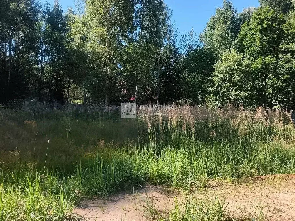 Продается участок в д. Молзино - Фото 2