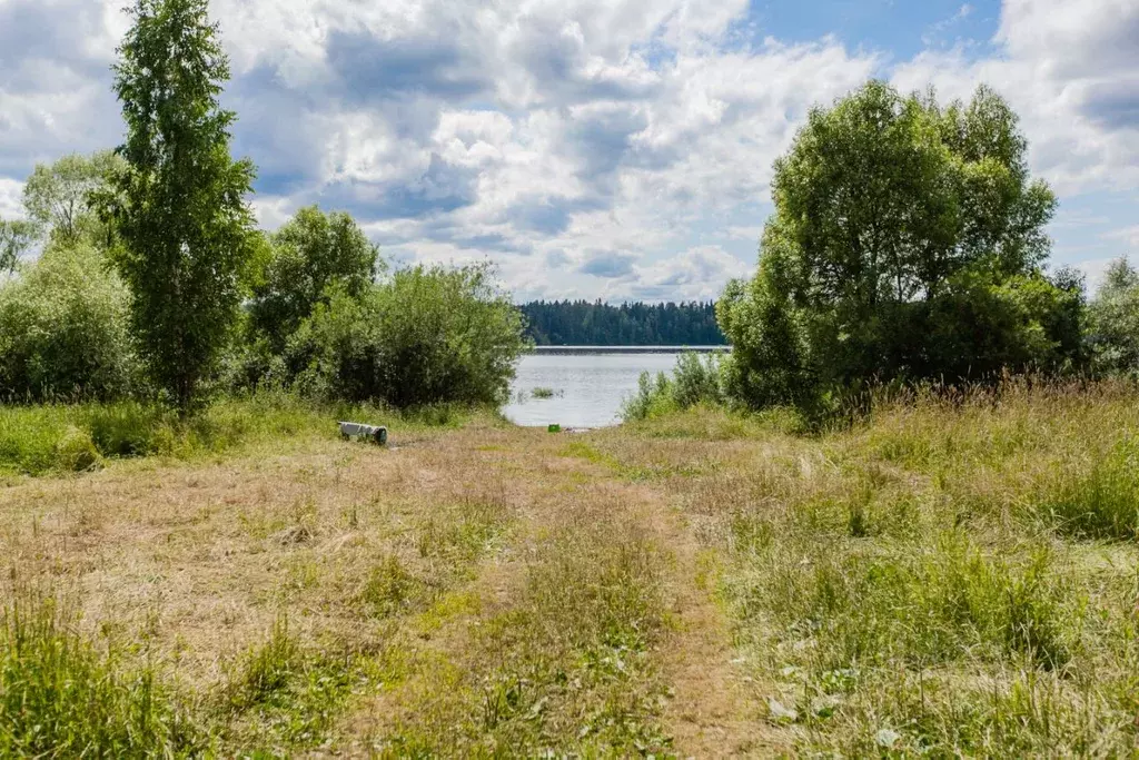 Участок в Московская область, Можайский муниципальный округ, д. ... - Фото 2