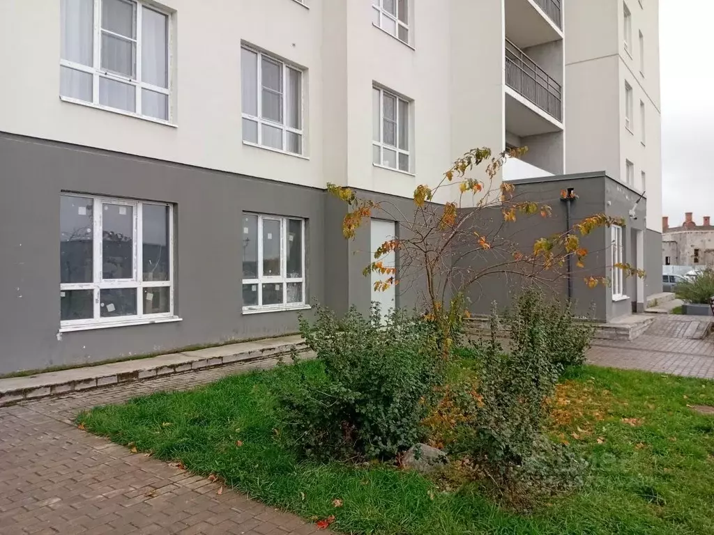 Помещение свободного назначения в Тверская область, Тверь ул. ... - Фото 2