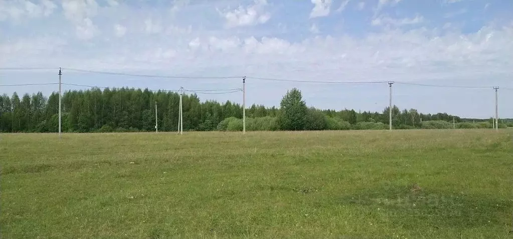 Участок в Татарстан, Лаишевский район, Егорьевское с/пос, д. Зимняя ... - Фото 2