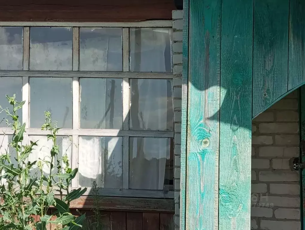 Помещение свободного назначения в Курганская область, Куртамышский ... - Фото 1