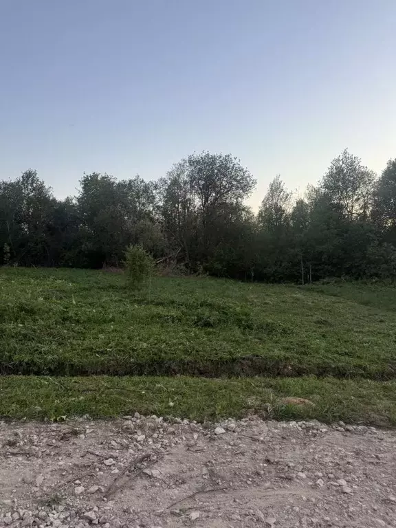 Участок в Московская область, Клин городской округ, д. Горки  (10.2 ... - Фото 1