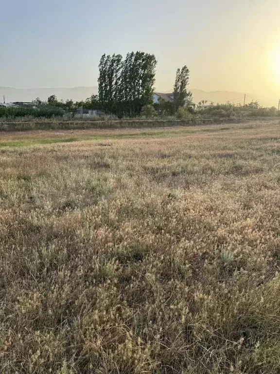 Участок 5 сот. (СНТ, ДНП) - Фото 1