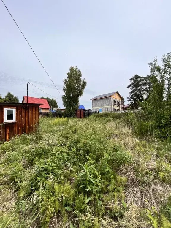 Участок в Иркутская область, Иркутский муниципальный округ, Светофор ... - Фото 1