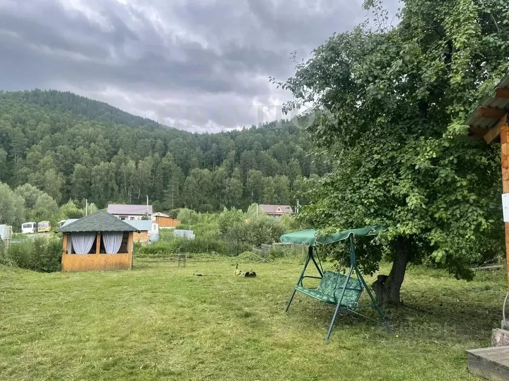 Участок в Алтай, Майминский район Р-256 Чуйский тракт, 457-й км (10.0 ... - Фото 1