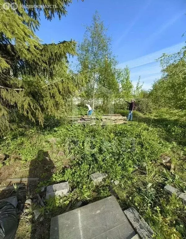 Участок в Санкт-Петербург, садоводство Педиатр, 2-я линия, 3 (6.2 м) - Фото 1
