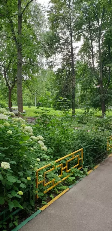 Продаётся 1-к квартира, 29.5 м - Фото 1