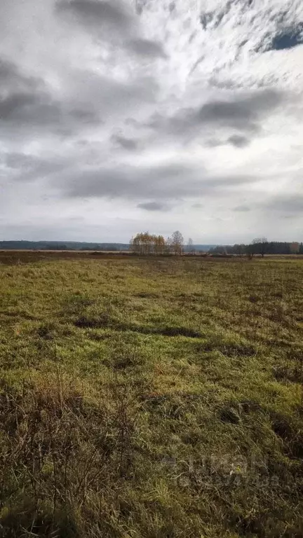 Участок в Тамбовская область, Тамбовский муниципальный округ, с. ... - Фото 2