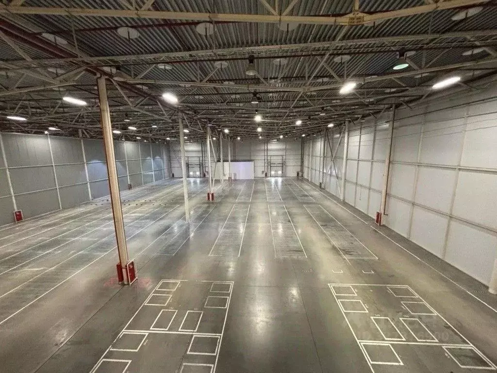 Склад в Новосибирская область, Новосибирский район, с. Толмачево ул. ... - Фото 1