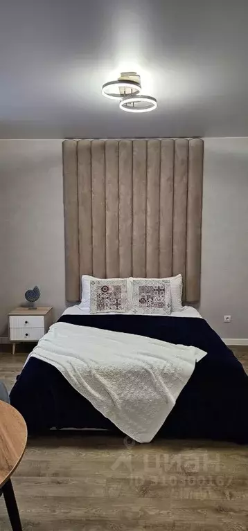 Студия Карелия, Петрозаводск ул. Тапиола, 1к1 (31.0 м) - Фото 2