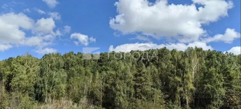 Участок в Алтайский край, Белокуриха Алтайская ул., 145 (15.0 сот.) - Фото 0