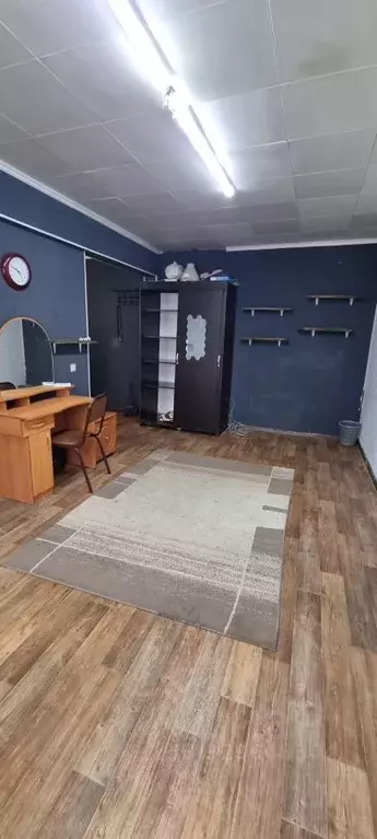 1-к кв. Омская область, Омск ул. Кирова, 5 (39.0 м) - Фото 2